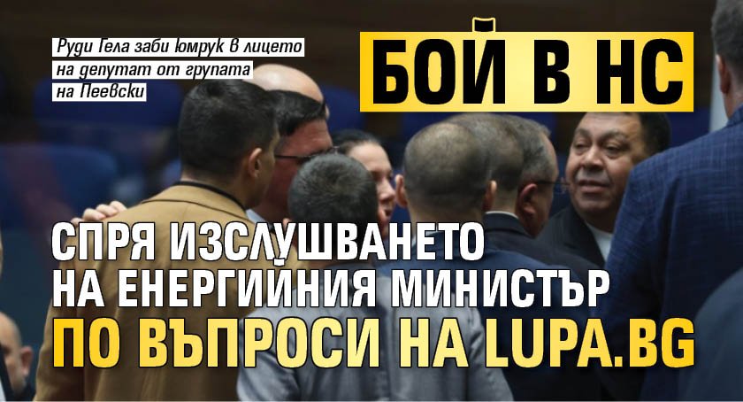Бой в НС спря изслушването на енергийния министър по въпроси на Lupa.bg (ВИДЕО)