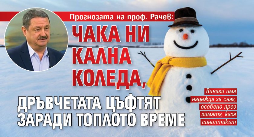 Прогнозата на проф. Рачев: Чака ни кална Коледа, дръвчетата цъфтят заради топлото време