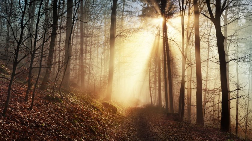 Времето през седмицата: Ще се редуват мъгливи и слънчеви дни 