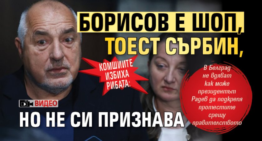 Комшиите избиха рибата: Борисов е шоп, тоест сърбин, но не си признава (ВИДЕО)