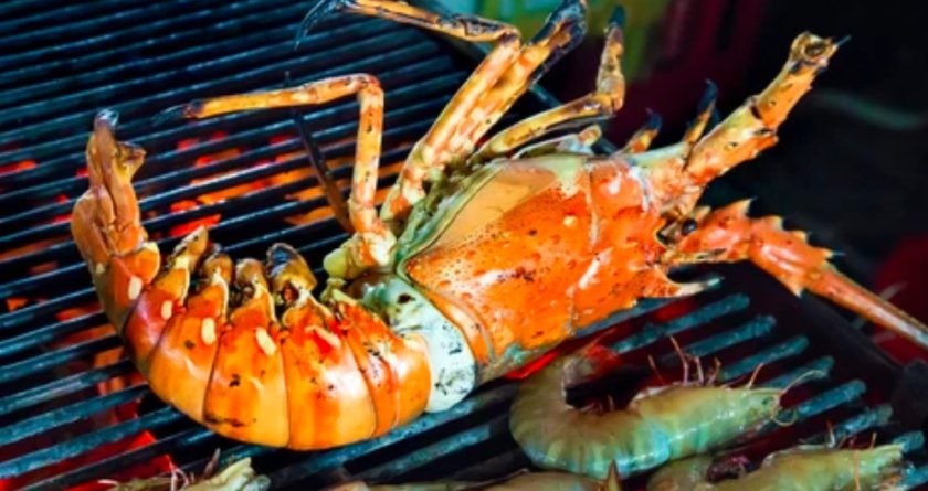 В Англия забраняват варенето на живи омари