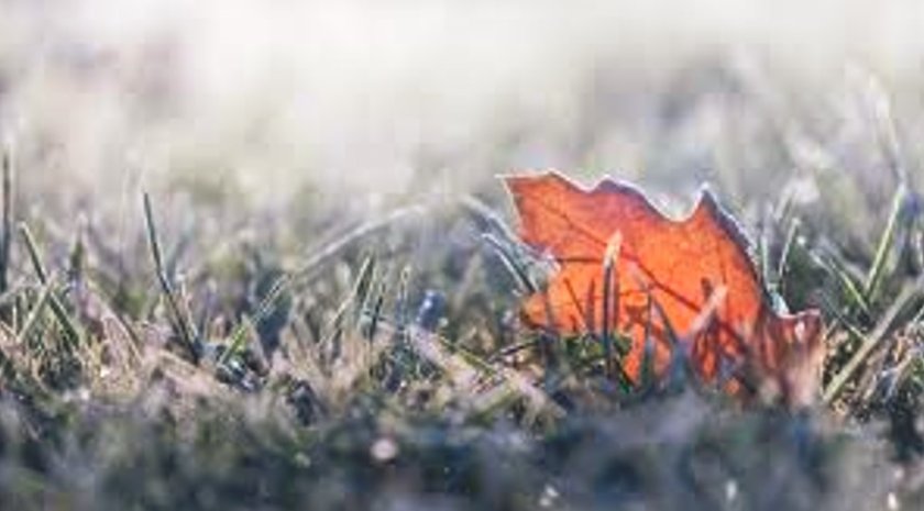 Студ, мъгли и дъжд вещаят синоптиците през уикенда