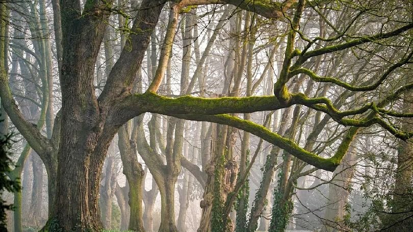 Днес в равнините и низините ще остане мъгливо или с ниска слоеста