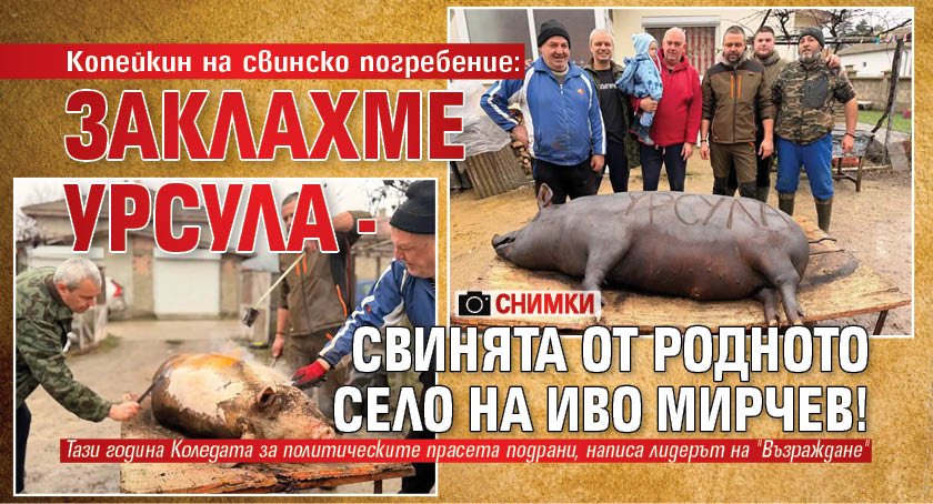 Копейкин на свинско погребение: Заклахме Урсула - свинята от родното село на Иво Мирчев! (СНИМКИ)