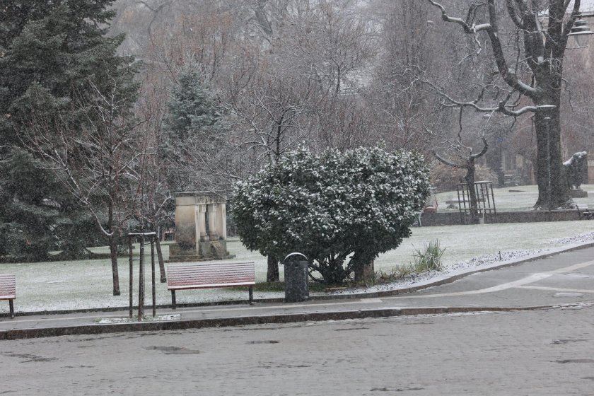 Зимна приказка в София (ФОТО)