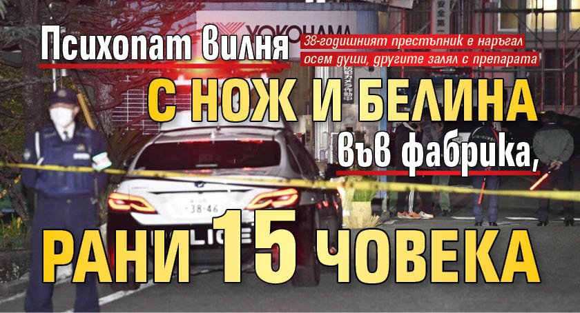 Психопат вилня с нож и белина във фабрика, рани 15 човека 