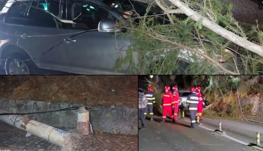 Силна буря вилнее в Румъния, събори дървета, паднаха стълбове 