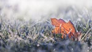 В сутрешните часове отново на места, главно в Дунавската равнина