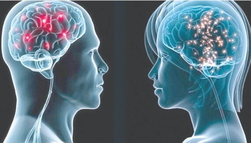 Ново изследване обръща фактите: Мъжкият мозък старее по-бързо