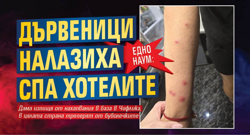 ЕДНО НАУМ: Дървеници налазиха спа хотелите