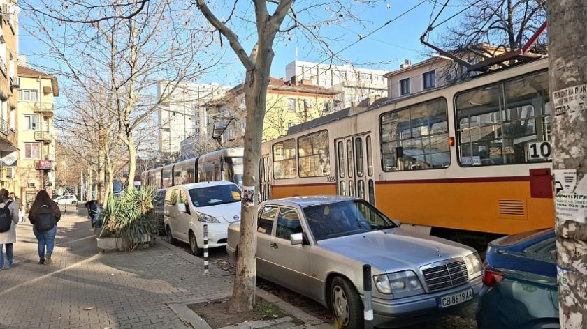 Бурята в София: Паднало дърво до Семинарията спря трамваи №10 и 15