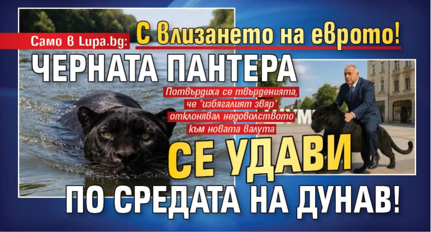 Само в Lupa.bg: С влизането на еврото! Черната пантера се удави по средата на Дунав!