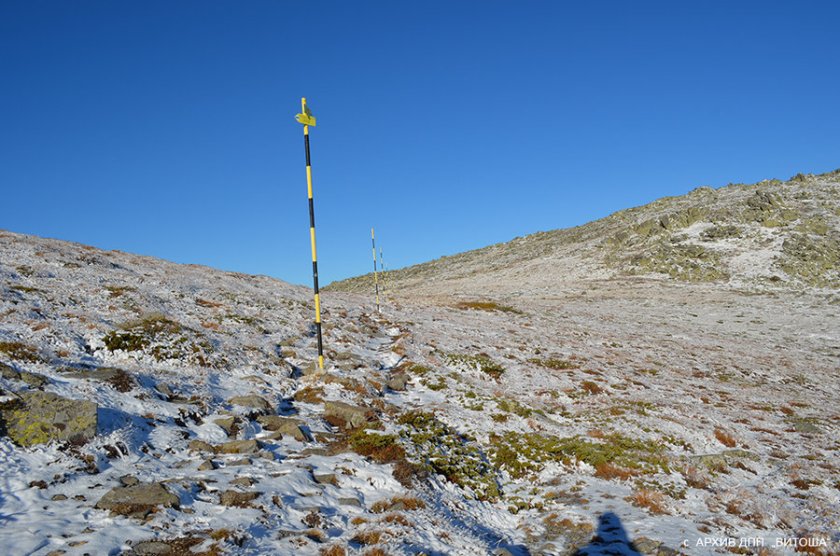 Омбудсманът бие аларма: Разрешават бурно строителство в парк "Витоша" 