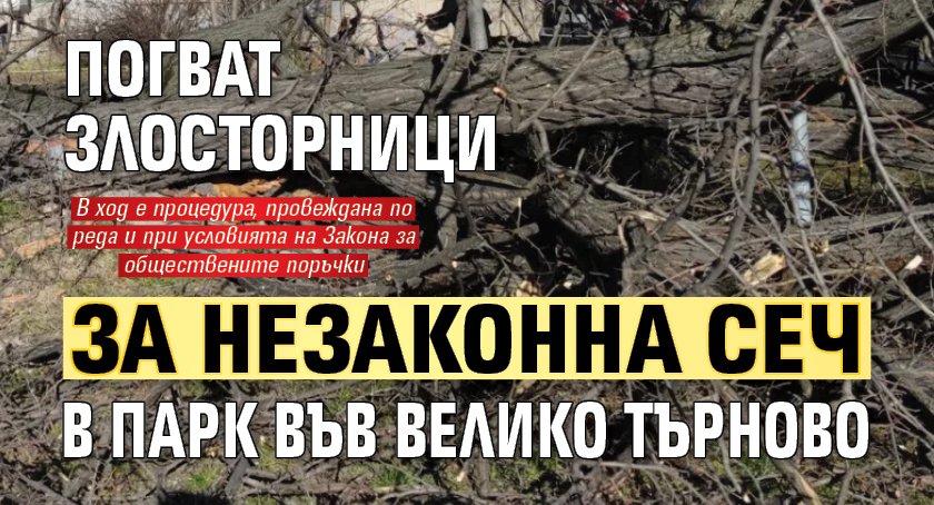 Погват злосторници за незаконна сеч в парк във Велико Търново