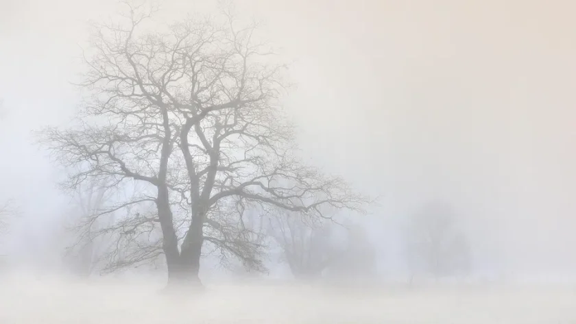 Кажете "чао" на топлото, вадете зимните ботуши и палта!