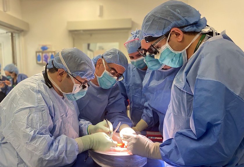 Присадиха успешно бъбреци в Александровска болница 