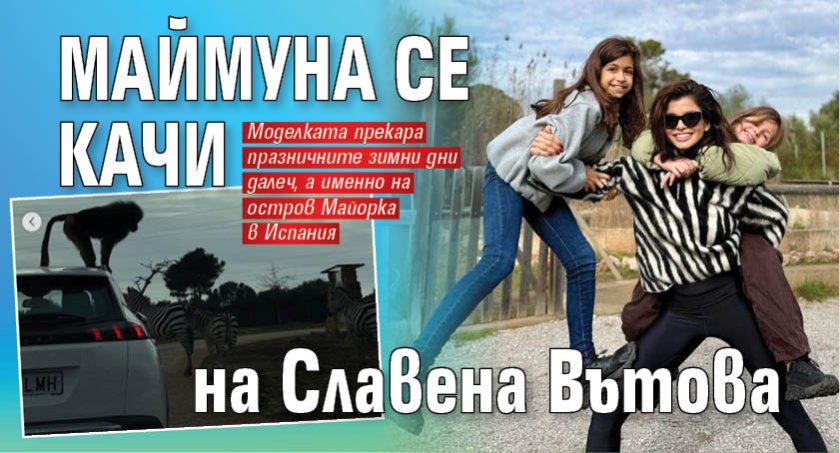 Маймуна се качи на Славена Вътова