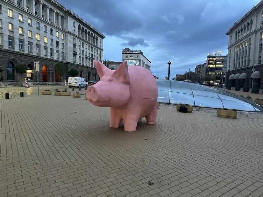 Няколко въпроса към розовото прасе