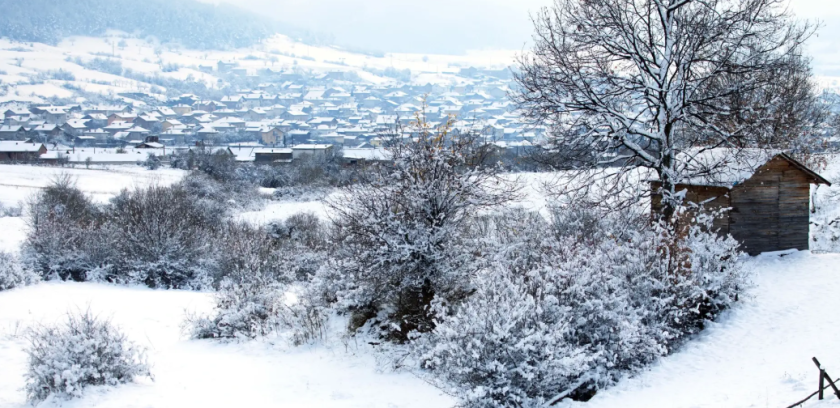 Ледена епоха: Големият студ се завръща
