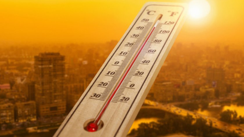 2019 г. е втората най-топла в света