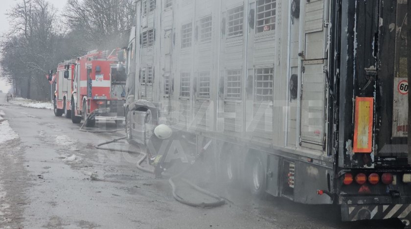 Камион със 178 прасета се запали на пътя Хасково &ndash; Димитровград