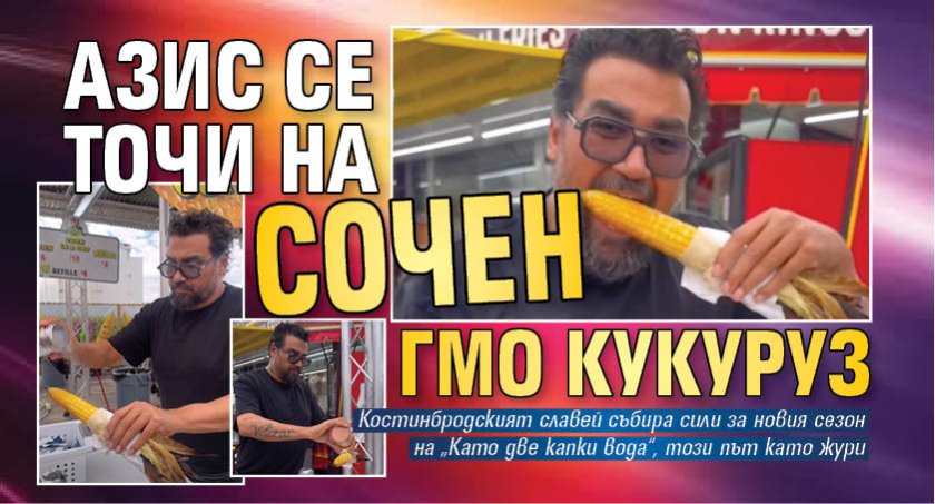 Азис се точи на сочен ГМО кукуруз