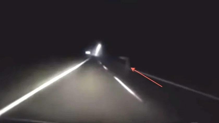 Опасна игра: "Призрак" изскача на пътя в Монтанско и шашка шофьорите 