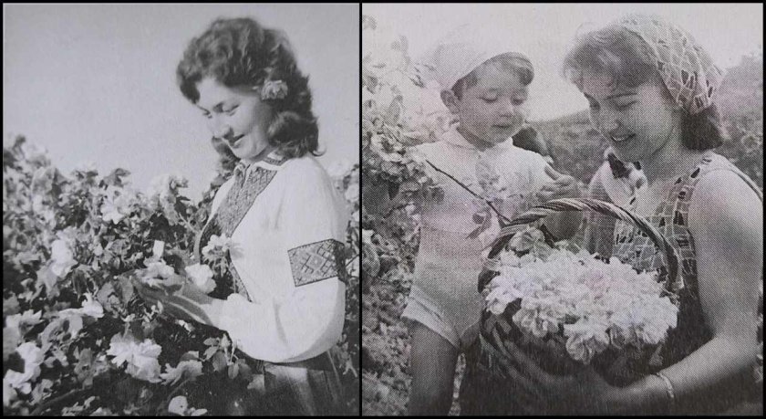 Почина първата Царица Роза