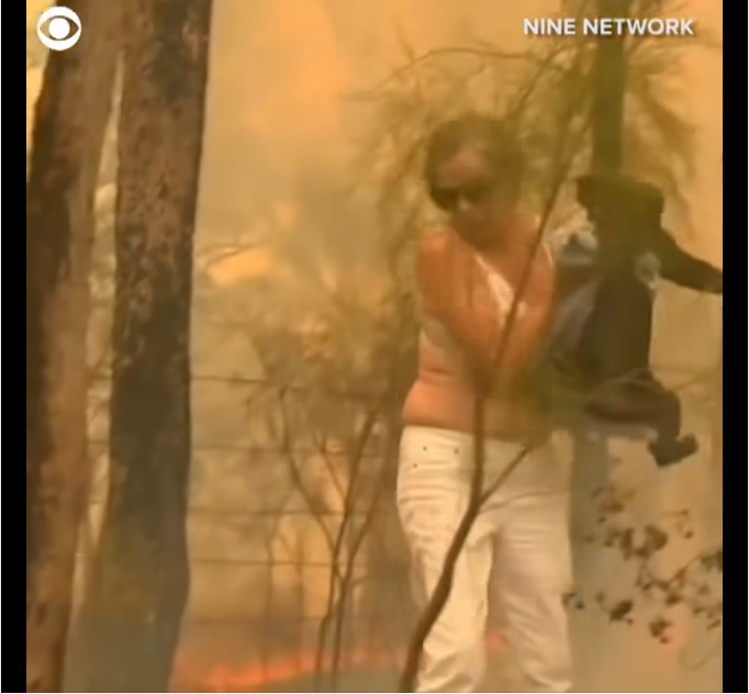 Австралийка се хвърли в огъня, за да спаси коала 