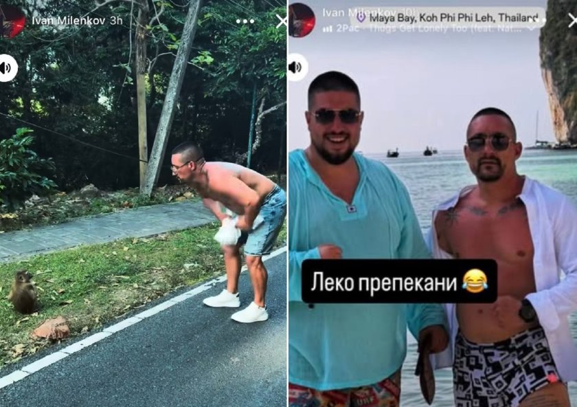 Наши олигофрени се гаврят с маймунки в Тайланд (СНИМКИ)