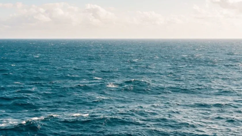 Румънците откриха мина в Черно море