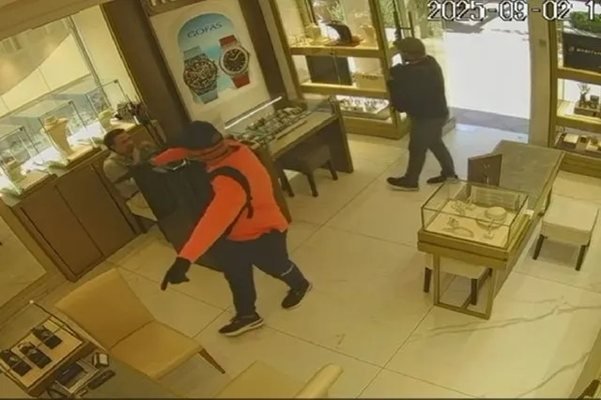 Сърбинът, сочен за член на престъпната банда Розовите пантери, се