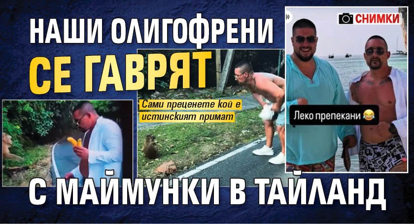 Наши олигофрени се гаврят с маймунки в Тайланд (СНИМКИ)