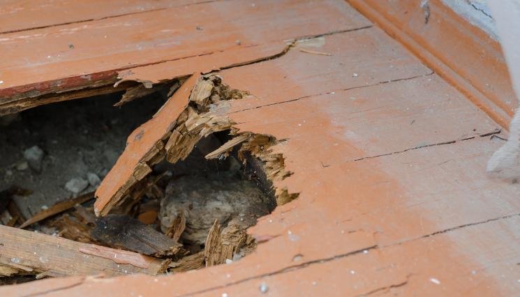 Пода на гарата в Макоцево пропадна 