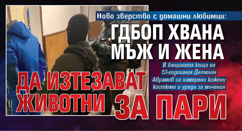 Ново зверство с домашни любимци: ГДБОП хвана мъж и жена да изтезават животни за пари 