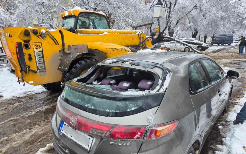 Дърво се стовари върху коли в Пловдив, 5 от тях са потрошени (СНИМКИ)
