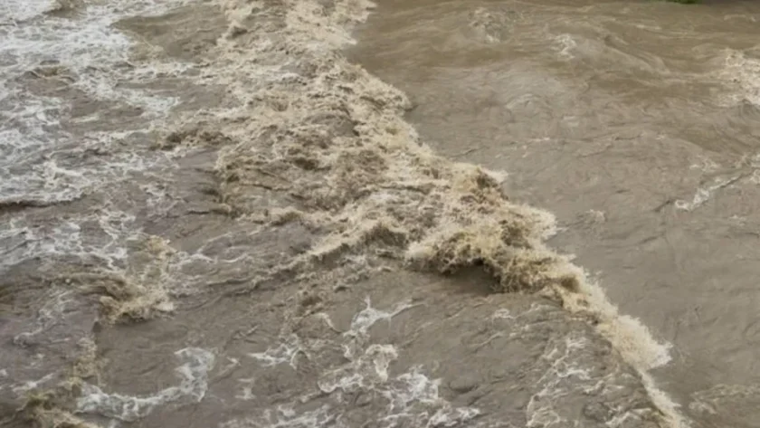 Реката в Неделино приижда, евакуират зайци и кокошки 