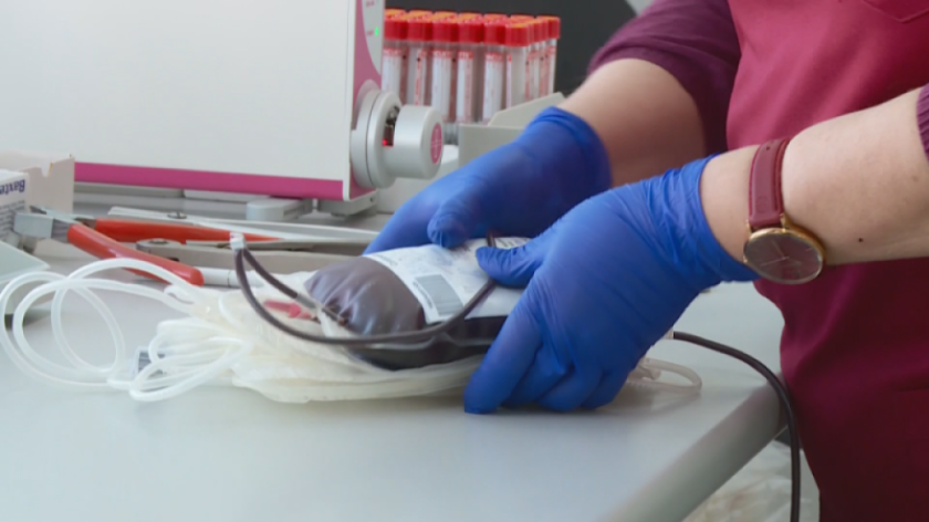 Заради грипната епидемия, обявена в Пловдив преди 6 дни, болниците