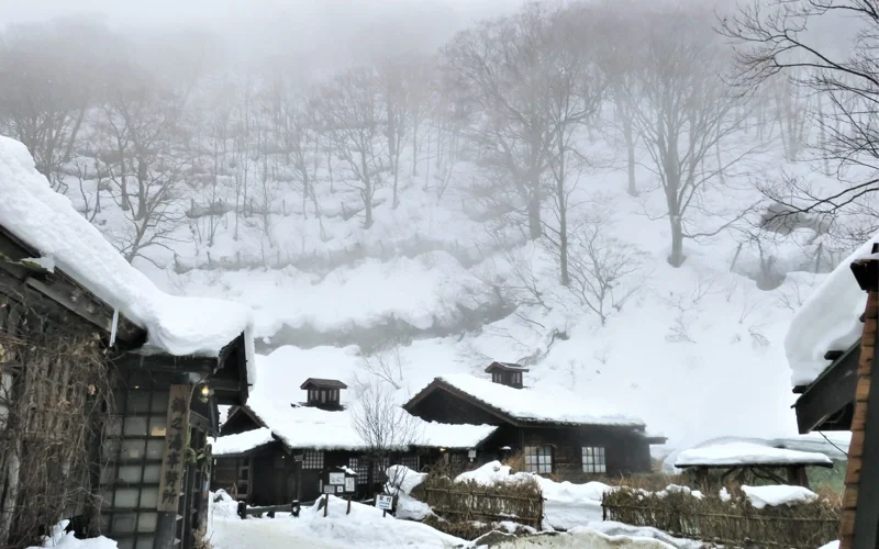 Снежни бури убиха 30 в Япония