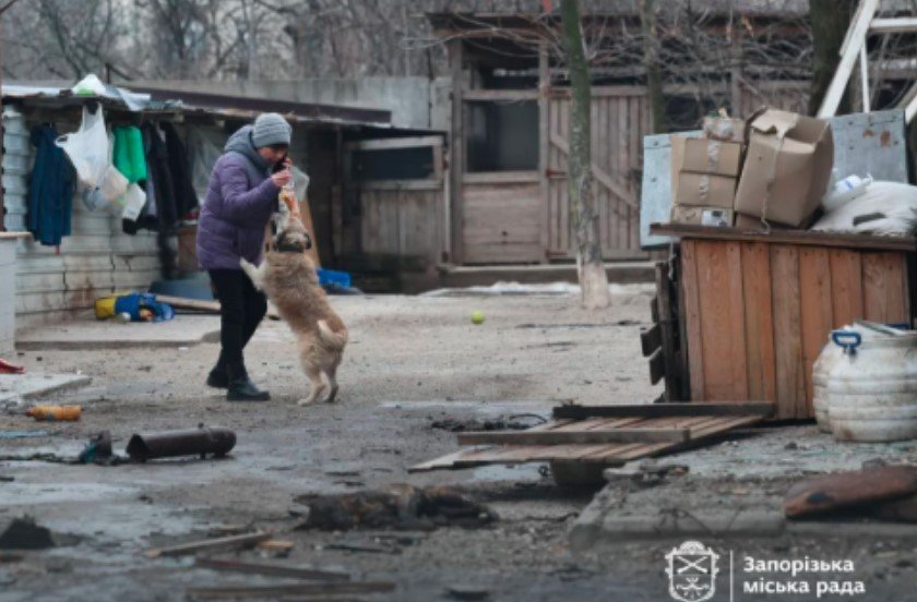 Руска атака удари по приют за кучета в Запорожие