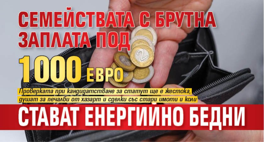 Семействата с брутна заплата под 1000 евро стават енергийно бедни
