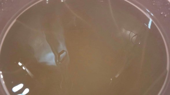 РЗИ: Не пийте вода от чешмите в Сливен, опасна е