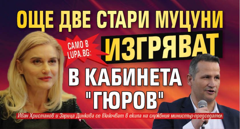 Само в Lupa.bg: Още две стари муцуни изгряват в кабинета "Гюров"