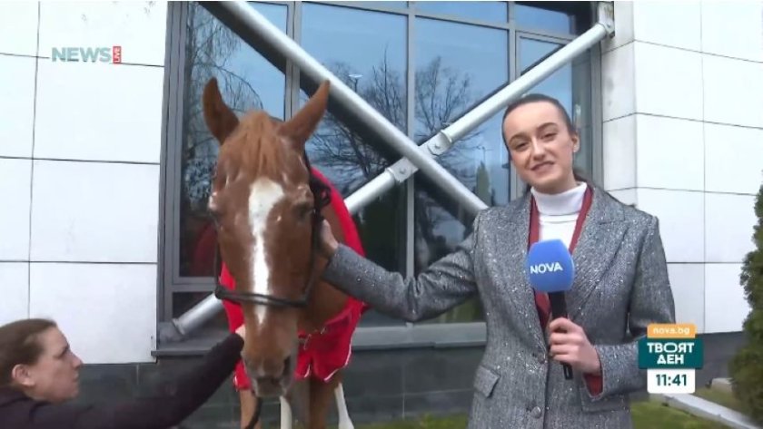 Терапевтичен кон донесе надежда в онкологичното отделение на столична болница