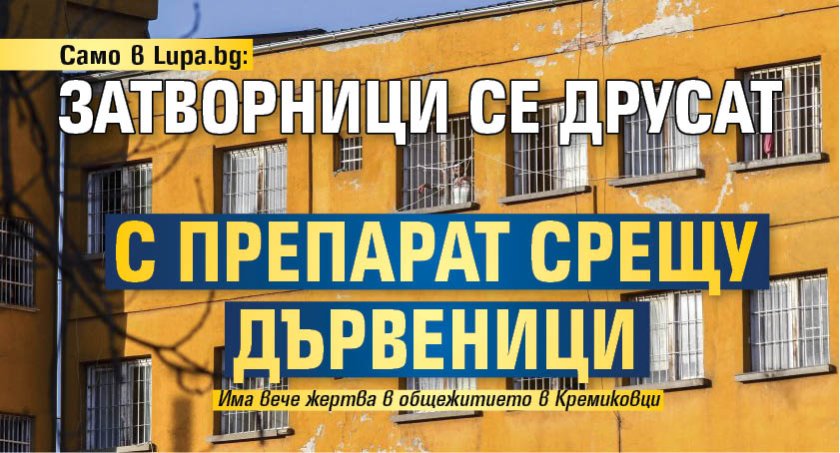 Само в Lupa.bg: Затворници се друсат с препарат срещу дървеници