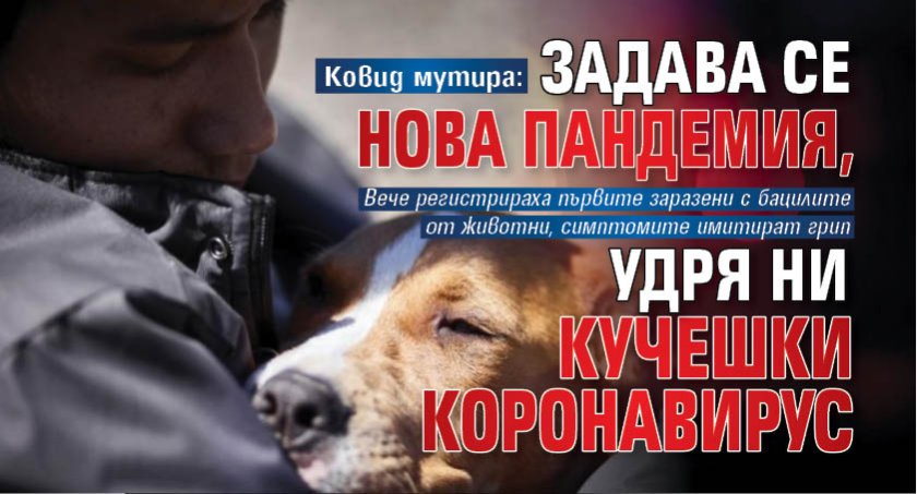 Ковид мутира: Задава се нова пандемия, удря ни Кучешки коронавирус 
