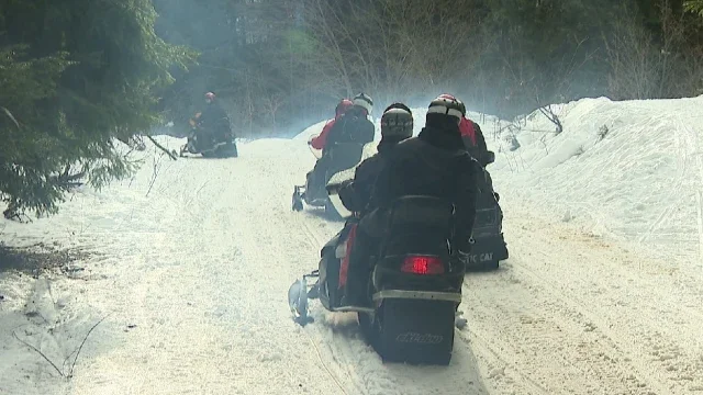 Нелепо: 13-годишно дете загина при удар в дърво с шейна в Австрия