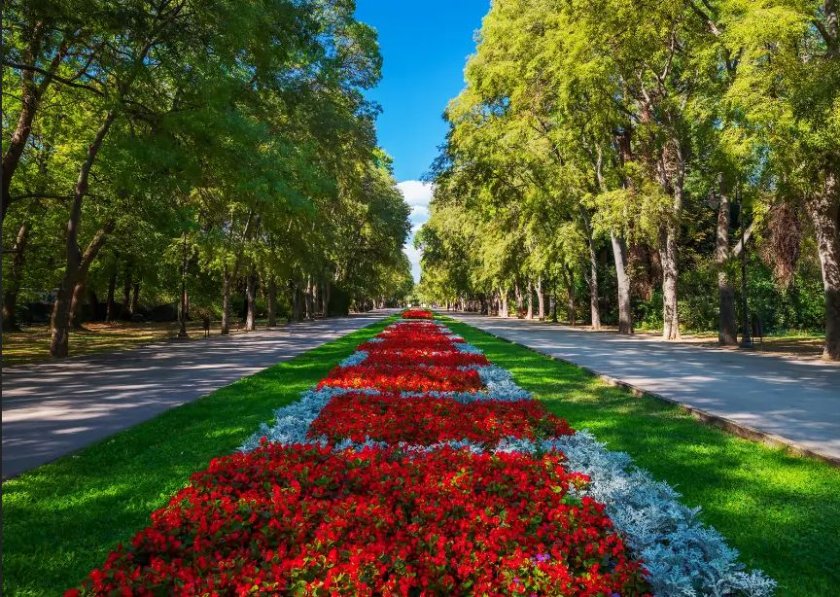 Съдът остави в ареста задържан за опит за убийство в Морската градина на Варна