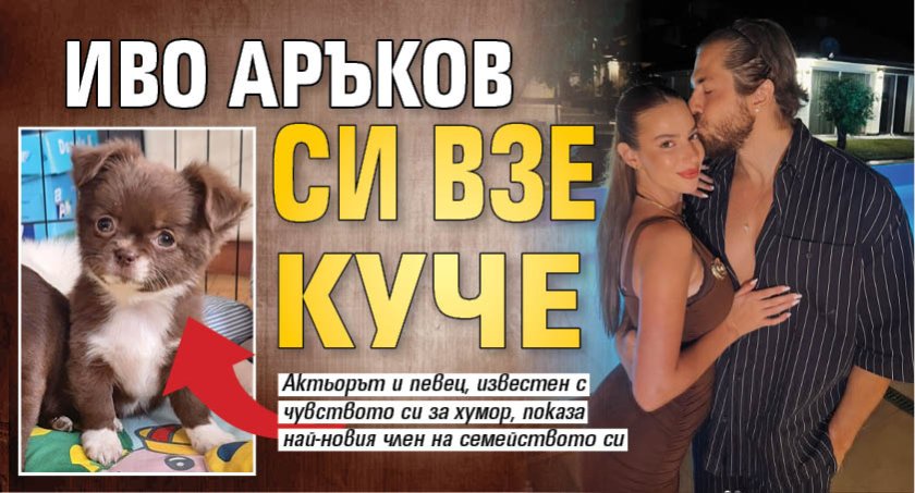 Иво Аръков си взе куче