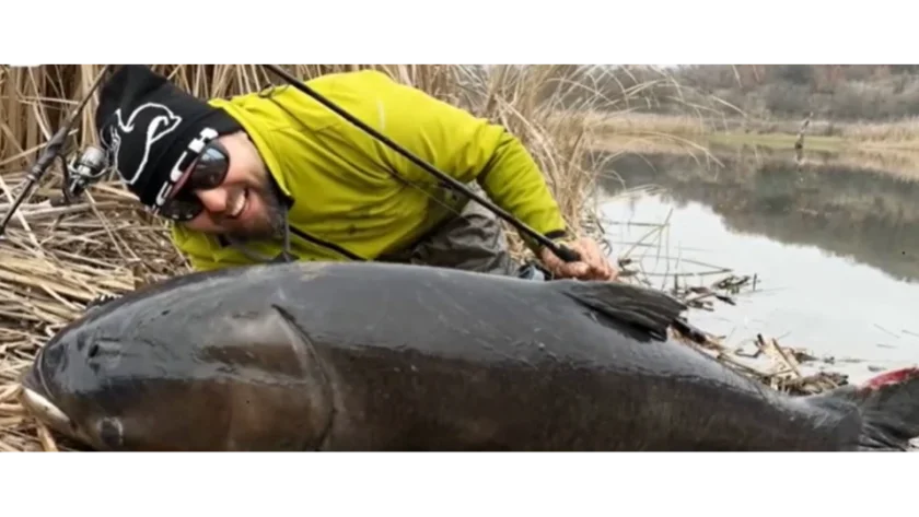 Гигантски толстолоб изплува от езеро край Хасково (СНИМКИ)